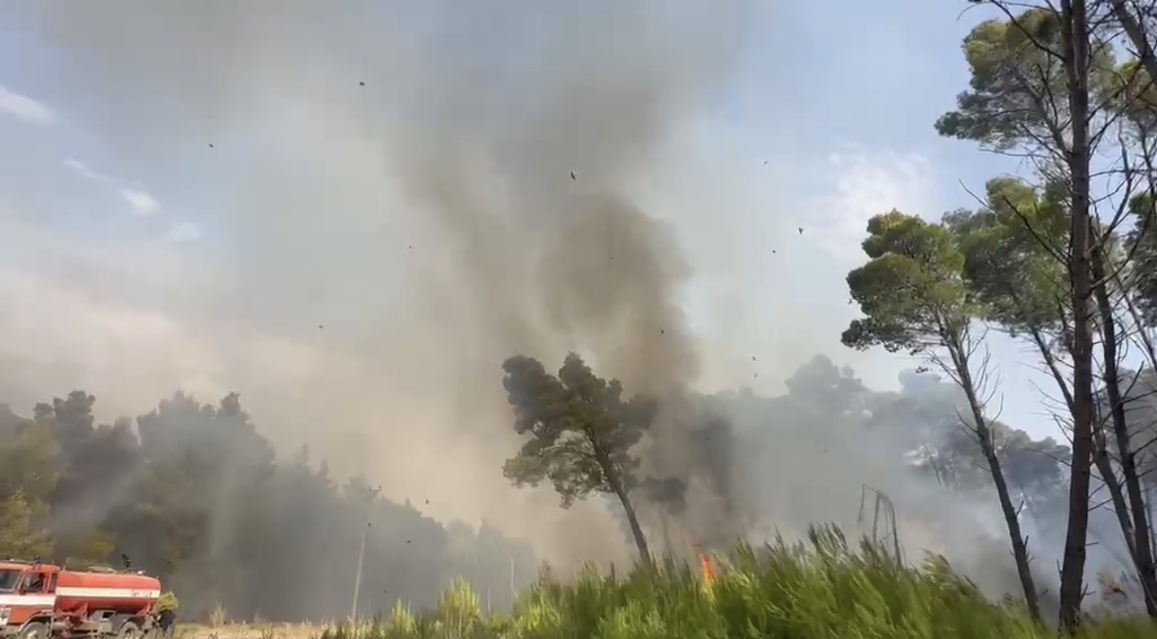 Vatër zjarri në Zvërnec/ Tymi i dendur mbulon Vlorën (Video)