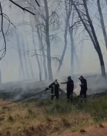 Era e fortë vështirësoi ndërhyrjen e forcave në terren/ Izolohet vatra e zjarrit në Zvërnec