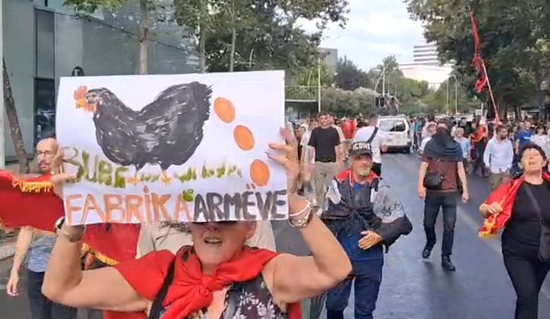 “Pula në burg! Është fabrikë e ‘armëve’”/ 58 ditë revoltë për dorëheqjen e Ramës, protestuesit ironi me pankarta