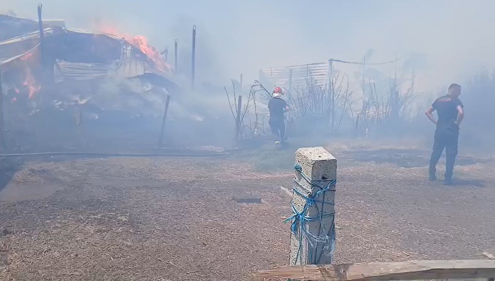 Zjarr në një fermë blegtorale në Patos, flakët përhapen me shpejtësi, ndërhyjnë zjarrfikësit e tre qyteteve