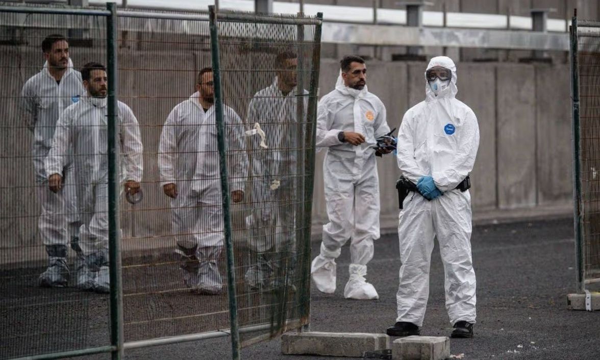 Alarm në Kili! Dhjetëra raste me Hantavirus, frikë për përhapjen e virusit vdekjeprurës