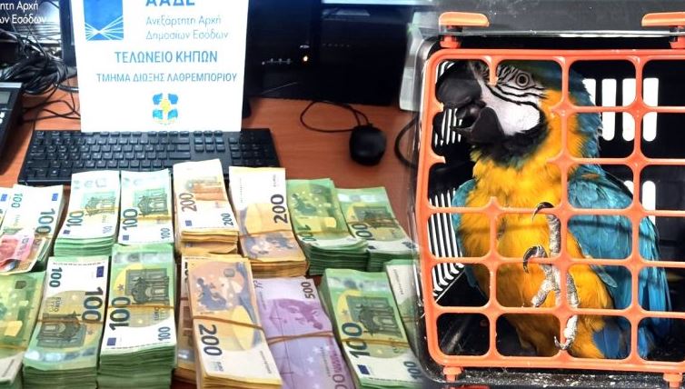 Kontrollet e 6-mujorit të parë 2026 në doganat greke/ Nga droga e kontrabanda e cigareve te papagajtë dhe armët, ja çfarë sekuestruan autoritetet