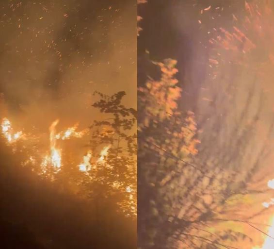 Zjarri mbajti në alarm Gjirokastrën gjatë natës, vijon beteja me flakët mes Asim Zenelit dhe Saraqinishtit