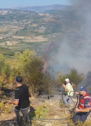 Neutralizohet zjarri në Drenovë të Mallakastrës pas disa orësh në luftë me flakët. Digjen rreth 10 hektarë ullinj dhe pyll