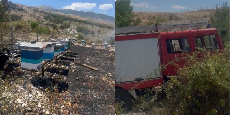 Përfshihet nga flakët një park bletësh në Gjirokastër, ndërhyjnë zjarrfikësit, izolohet zjarri (VIDEO)